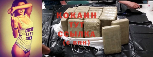 шишки Сатка