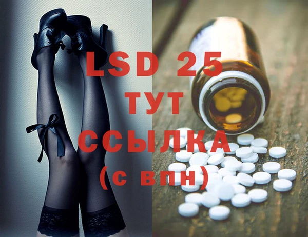 крисы Абаза