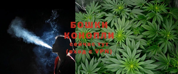 бошки Абинск