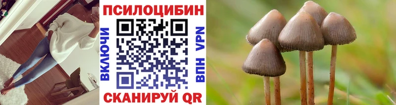 Галлюциногенные грибы мицелий наркота Елизово