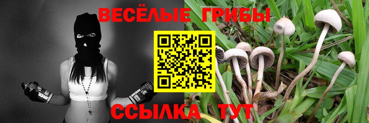 Псилоцибиновые грибы Psilocybine cubensis  Галлюциногенные грибы ЛСД  закладки  Елизово  Вход с VPN 
