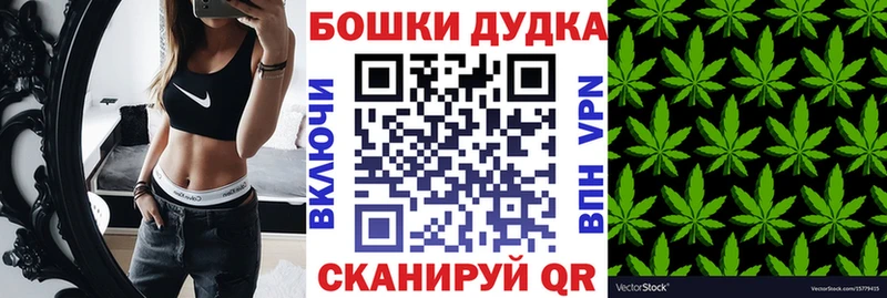 Бошки марихуана планчик  маркетплейс как зайти  Елизово  где продают   OMG рабочий сайт 